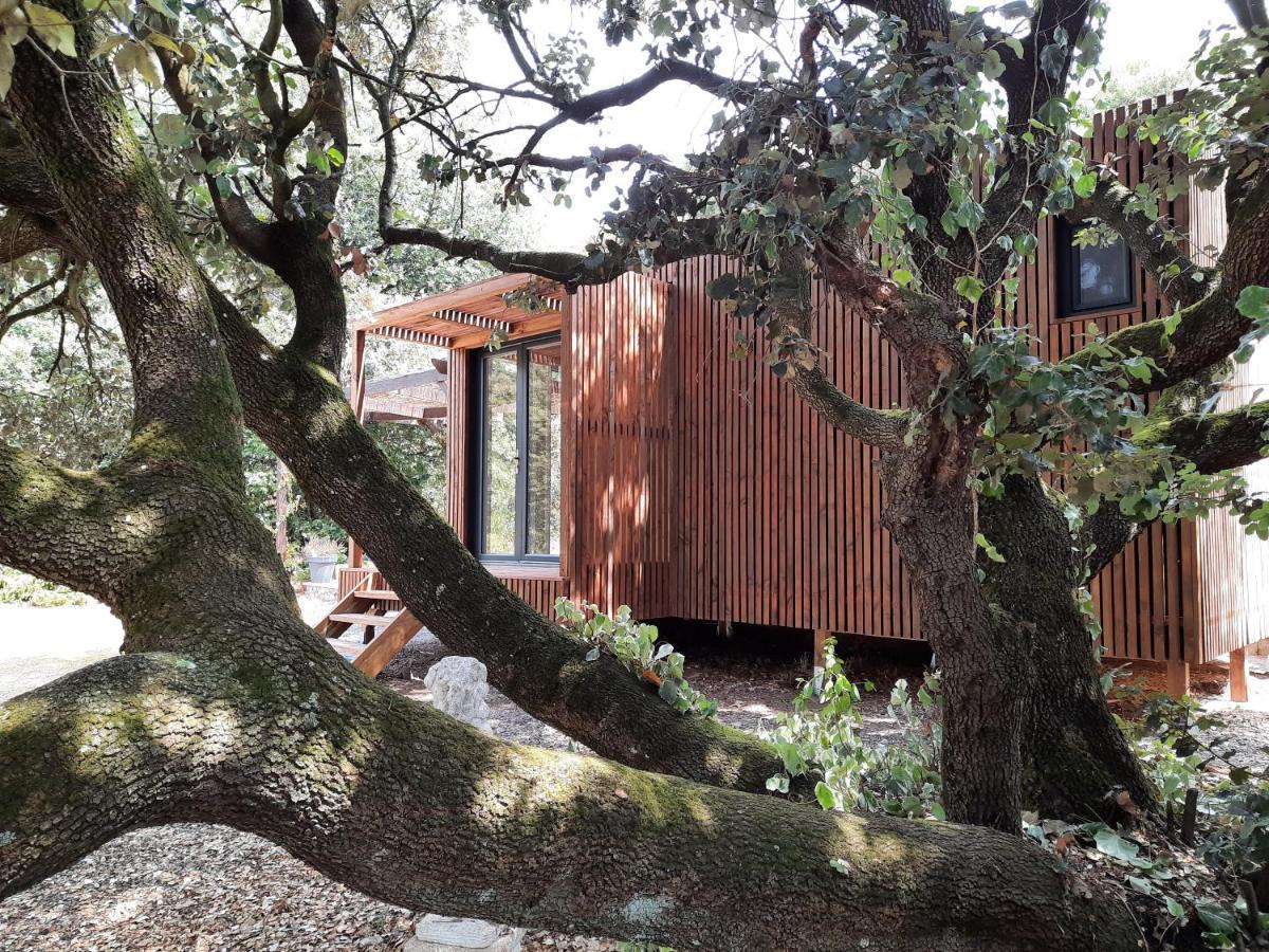 Le Lodge Des Chenes Brousses-et-Villaret Exterior foto