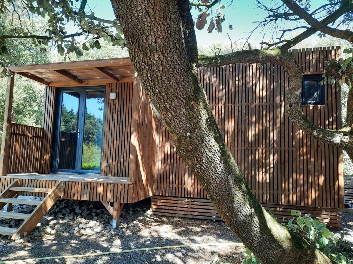 Le Lodge Des Chenes Brousses-et-Villaret Exterior foto