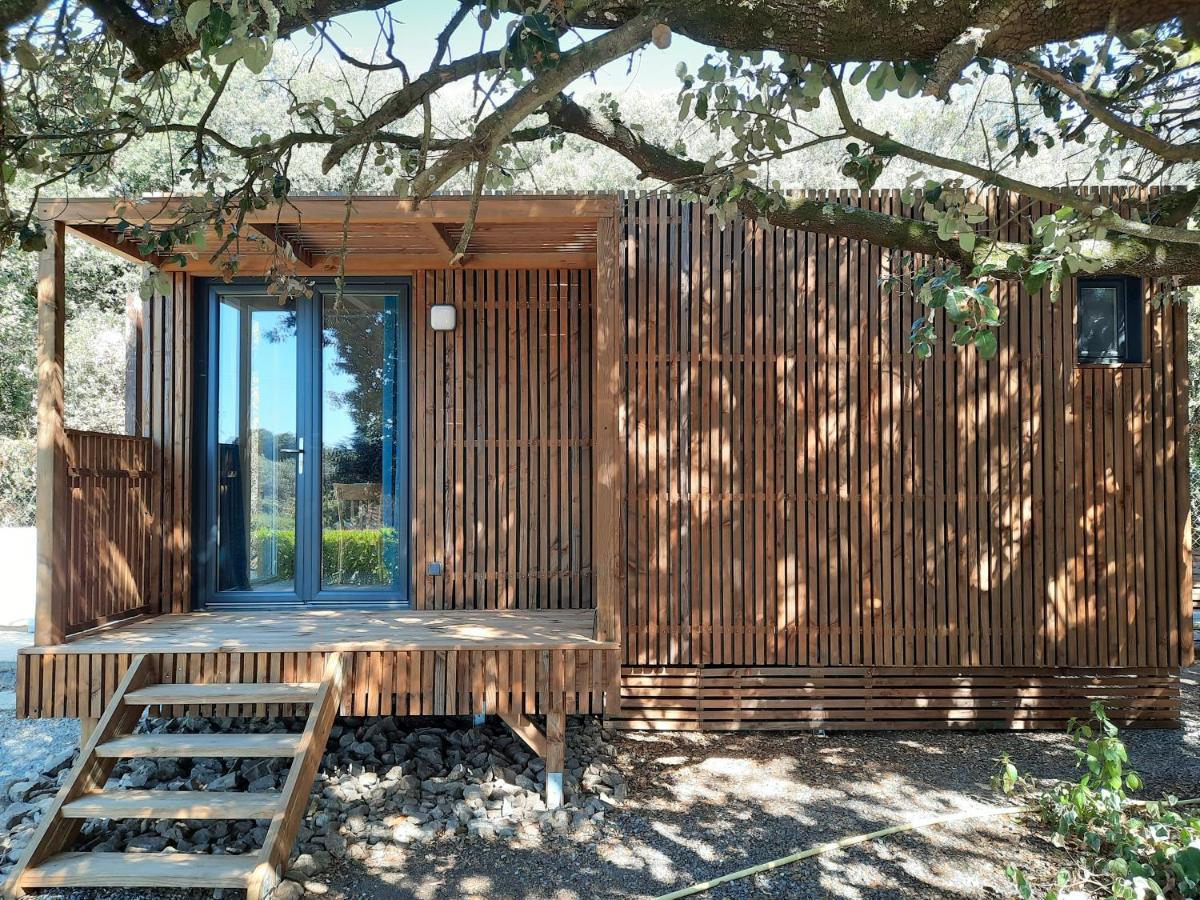 Le Lodge Des Chenes Brousses-et-Villaret Exterior foto